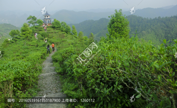 茶山金字塔景區(qū)