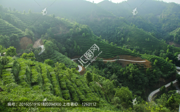 茶山金字塔景區(qū)