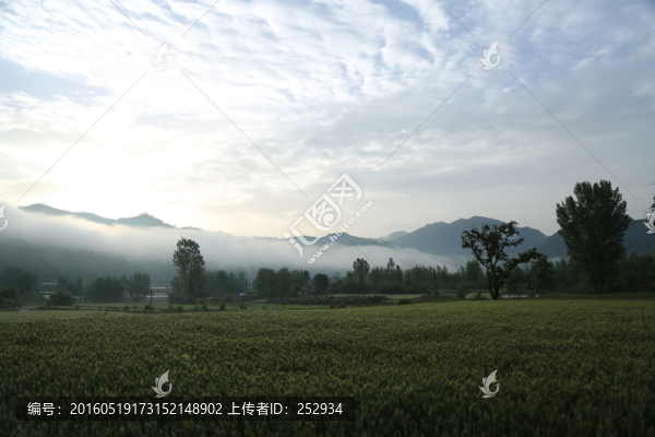 田園風(fēng)景