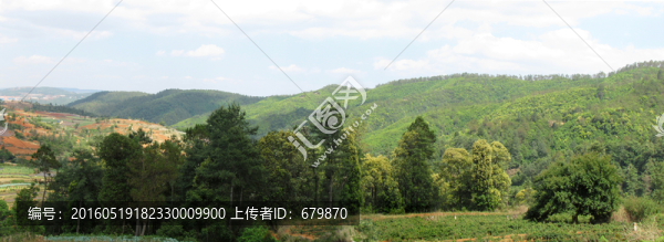 山嶺