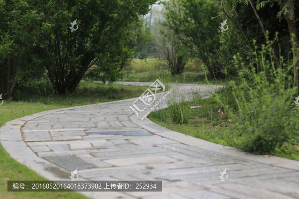林間小道