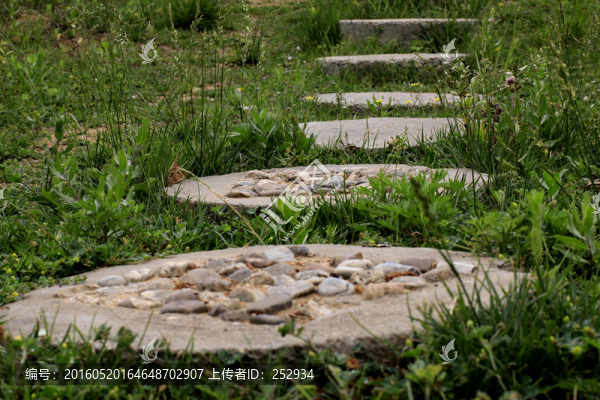 公園小景