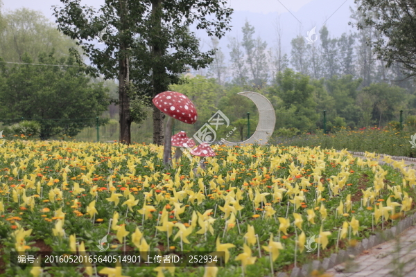 公園小景1
