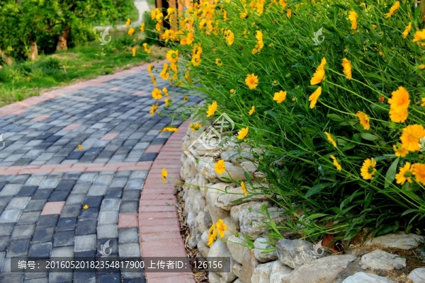 花園城市
