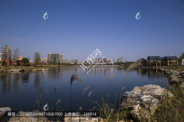 公園