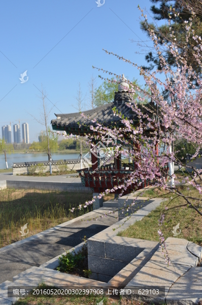 韓國(guó)園