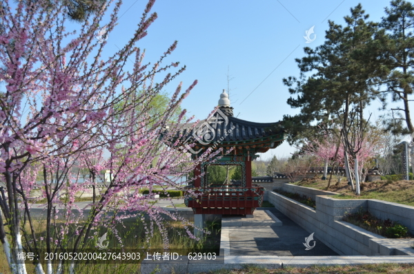 韓國(guó)園