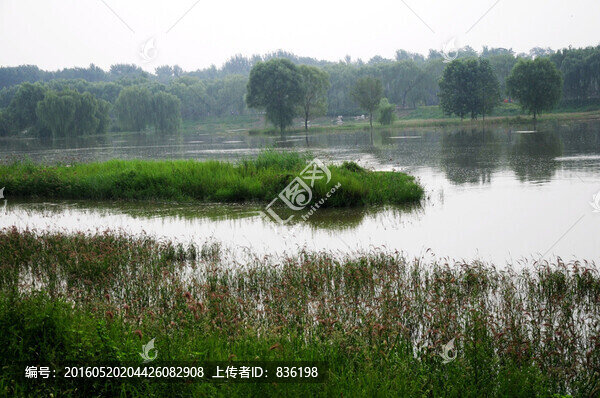 濕地
