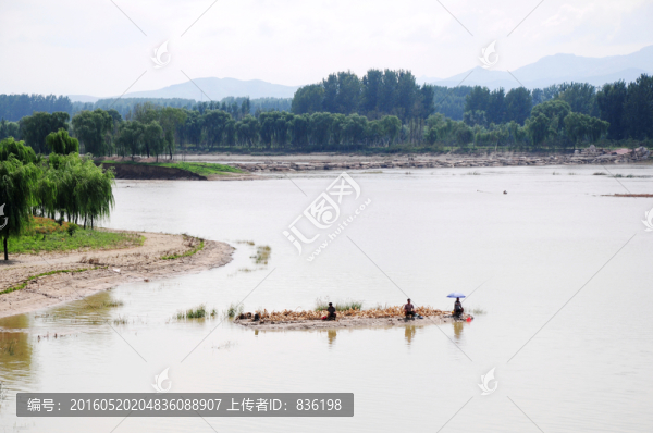 彌河,垂釣