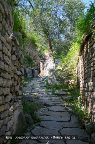 石墻,石頭路
