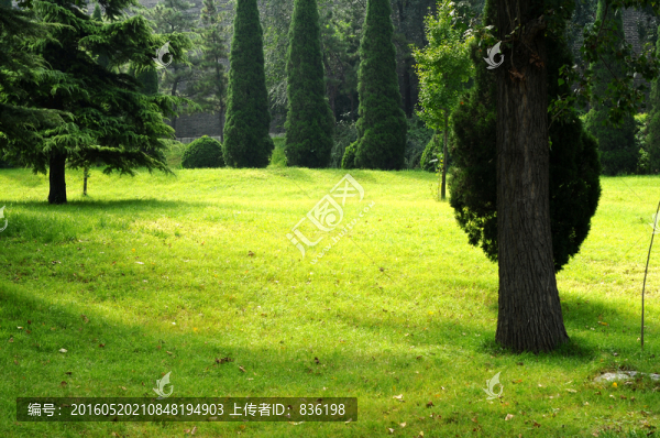 公園綠地