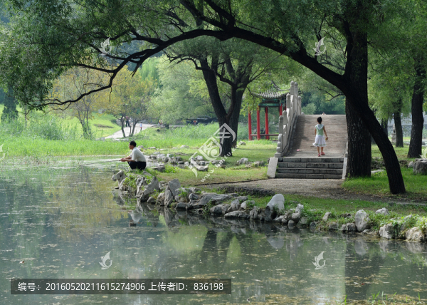 濕地公園