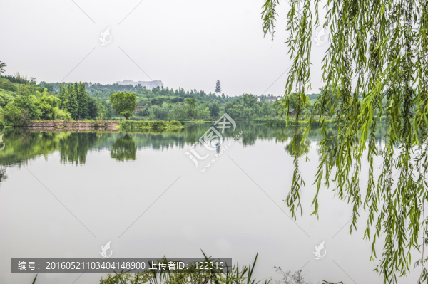 白鷺灣濕地公園
