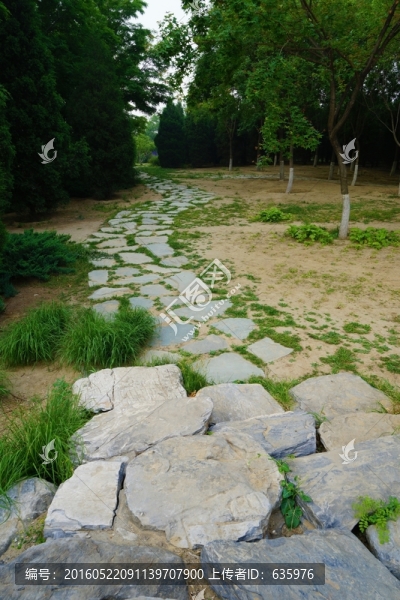 公園