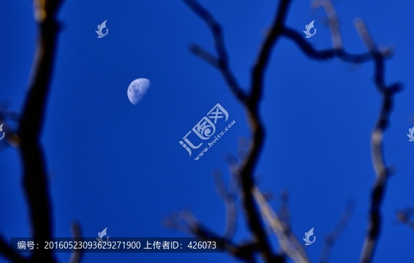 月亮