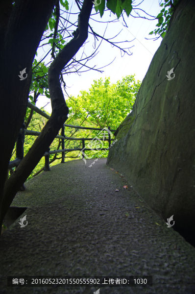 棧道