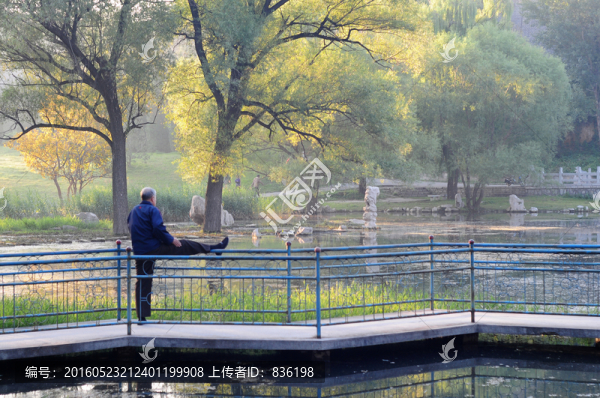 秋天的公園