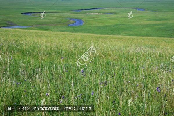 大草原牧場