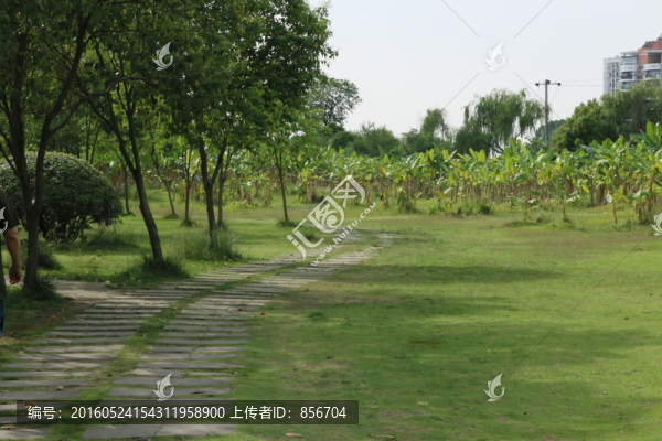 綠地
