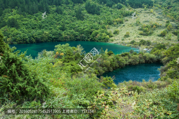 樹正群海