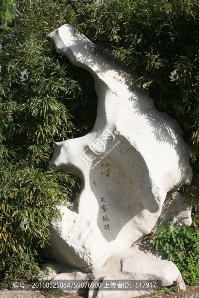 奇石,太湖石,景觀,石,園林
