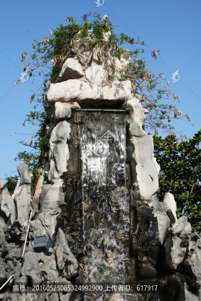 奇石,太湖石,景觀,石