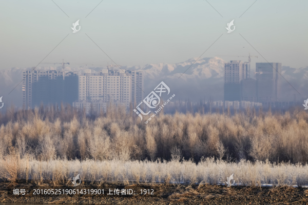 城市