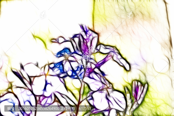 二月蘭野花叢