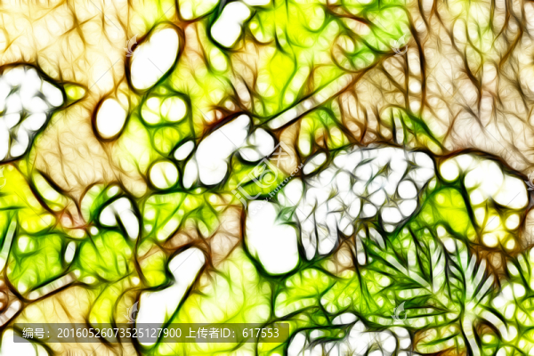 李葉繡線菊抽象畫