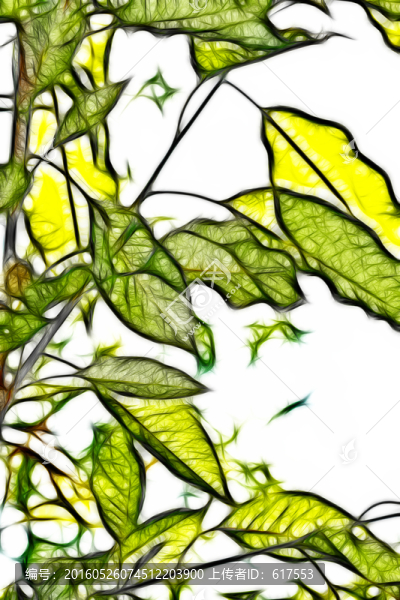 枝葉抽象畫