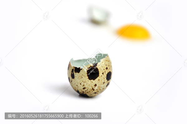鵪鶉蛋殼