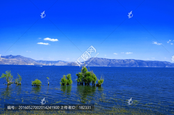 洱海景色