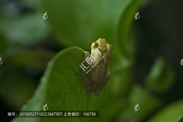 守,候