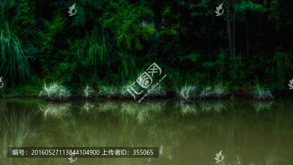錦城公園