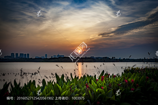 湖泊,濕地