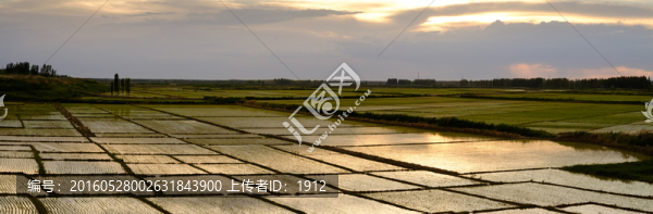 田園風(fēng)光