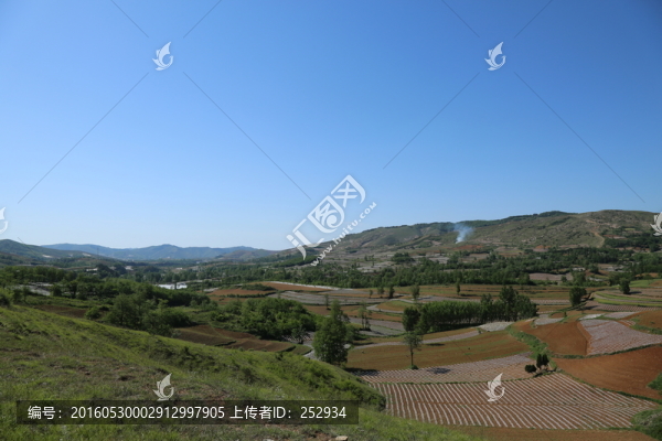 田野風光