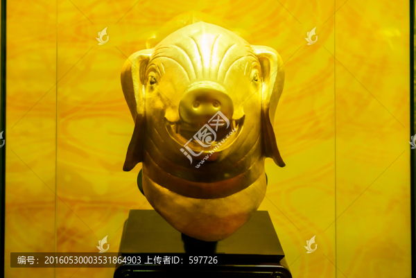 生肖豬
