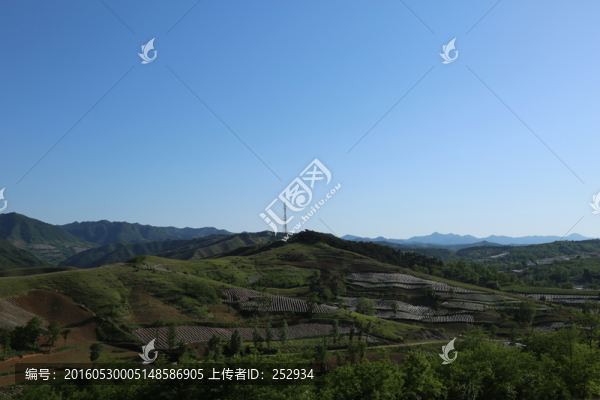 田野風(fēng)光