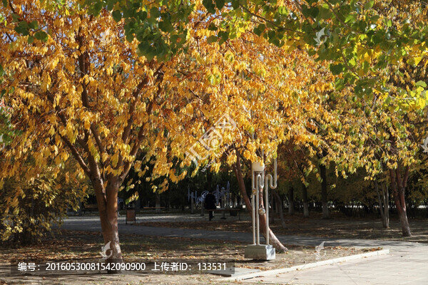 公園秋天,城市秋天