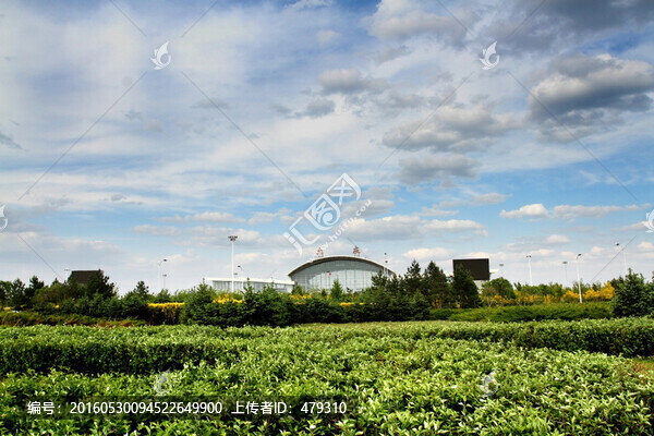 大慶,飛機(jī)場(chǎng),廣場(chǎng),綠化,交通