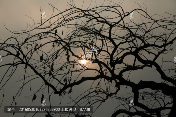 北京胡同