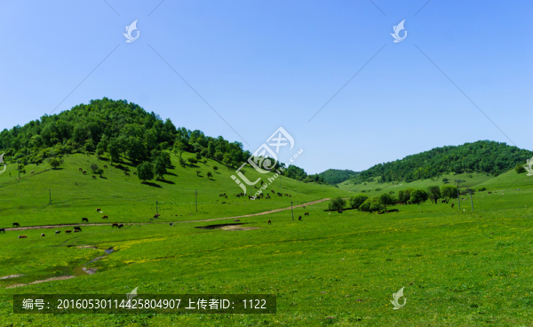 關(guān)山,牧場(chǎng)