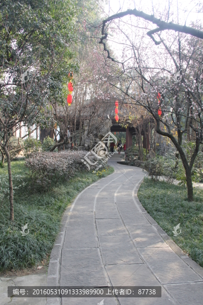 成都