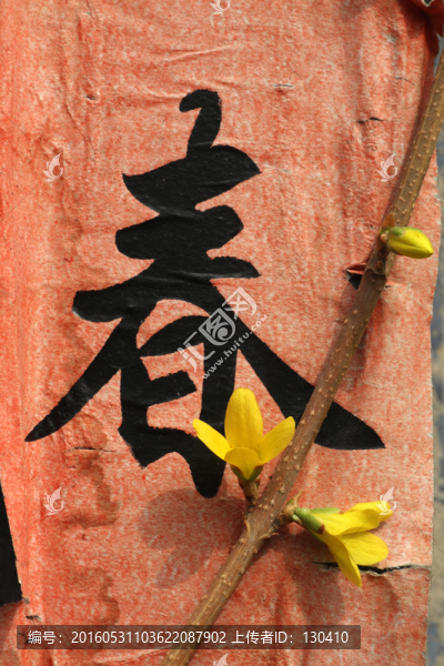 連翹,春,春聯(lián)