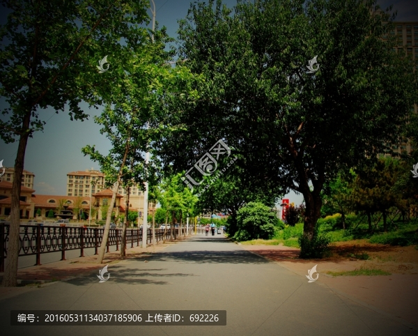 綠蔭下的小路