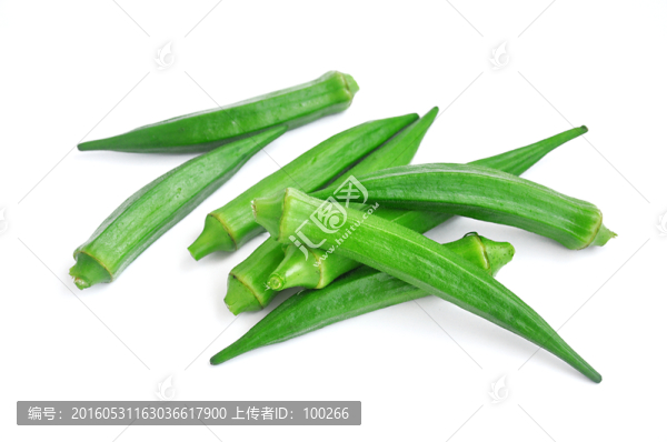 新鮮秋葵