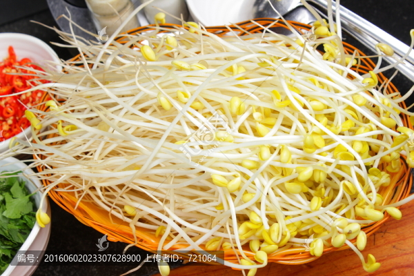 豆芽