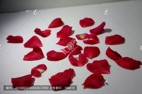 一堆花瓣遍地