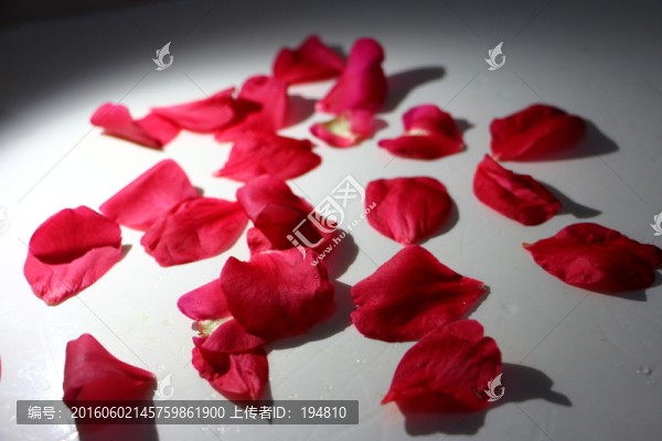 花瓣